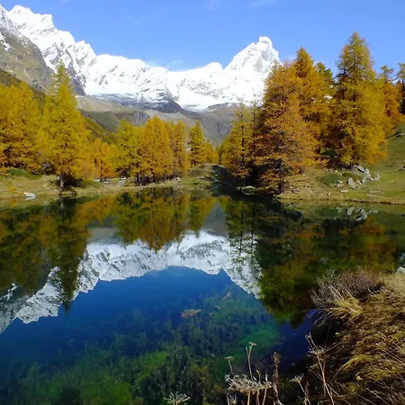 Hellochalet - The Alpine - Studio, Walk To Slopes